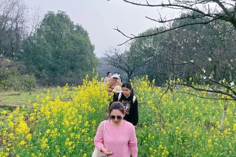 獻禮3.8節|勇做攀登者，奮進新未來